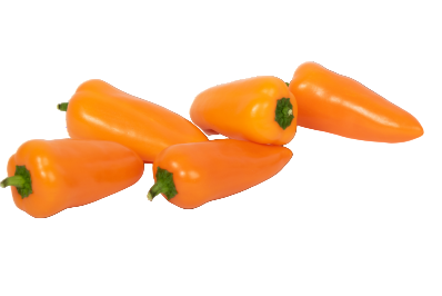 Pepper - Orange Mini